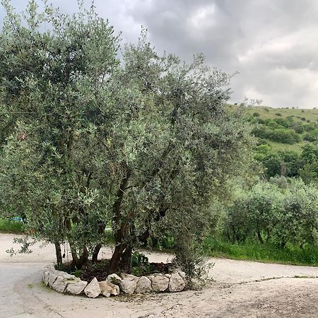 Agriturismo Torre Ercolana Ананьї Екстер'єр фото